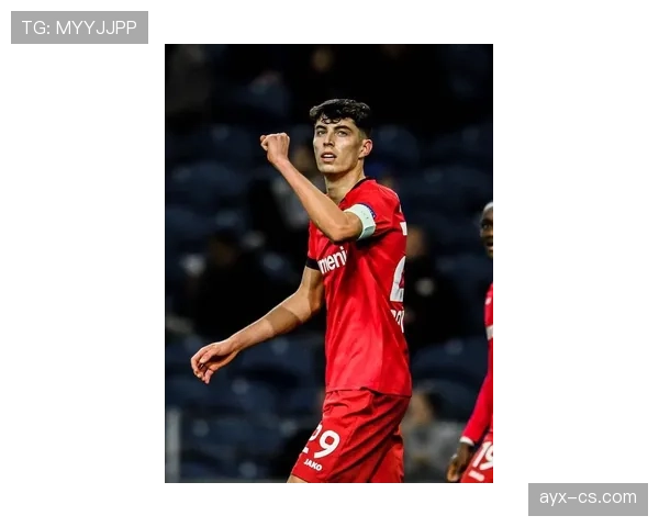 德甲转会市场动态：各队引援策略渐趋清晰，新赛季迎战新挑战