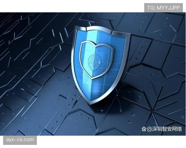 阿尔攻防平衡新策略显著提升网络安全防护能力，引发行业关注