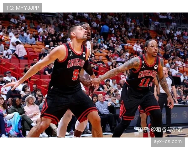 武切维奇无球策应改变公牛进攻结构